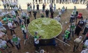 guacamole-record-1160x700